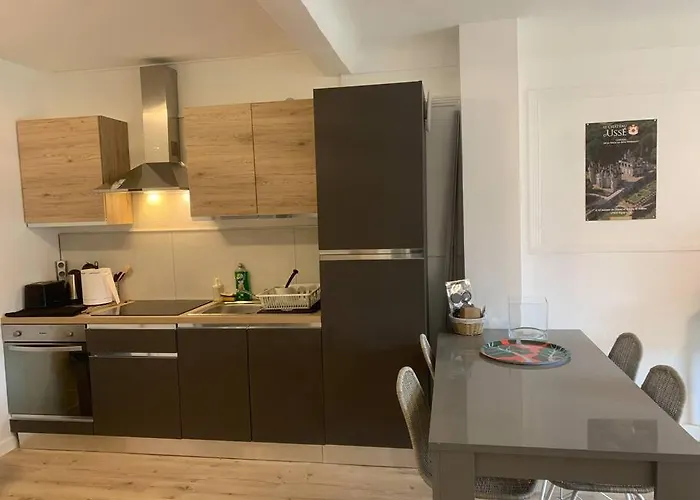 Loft Avec Parking Centre Et Bord Du Cher Loire Valley