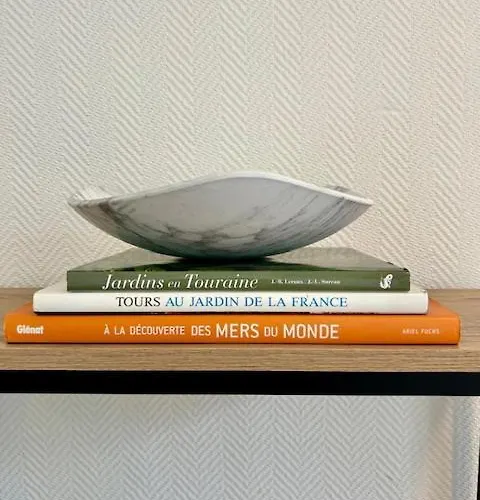 Apartament Loft Avec Parking Centre Et Bord Du Cher Loire Valley Tours